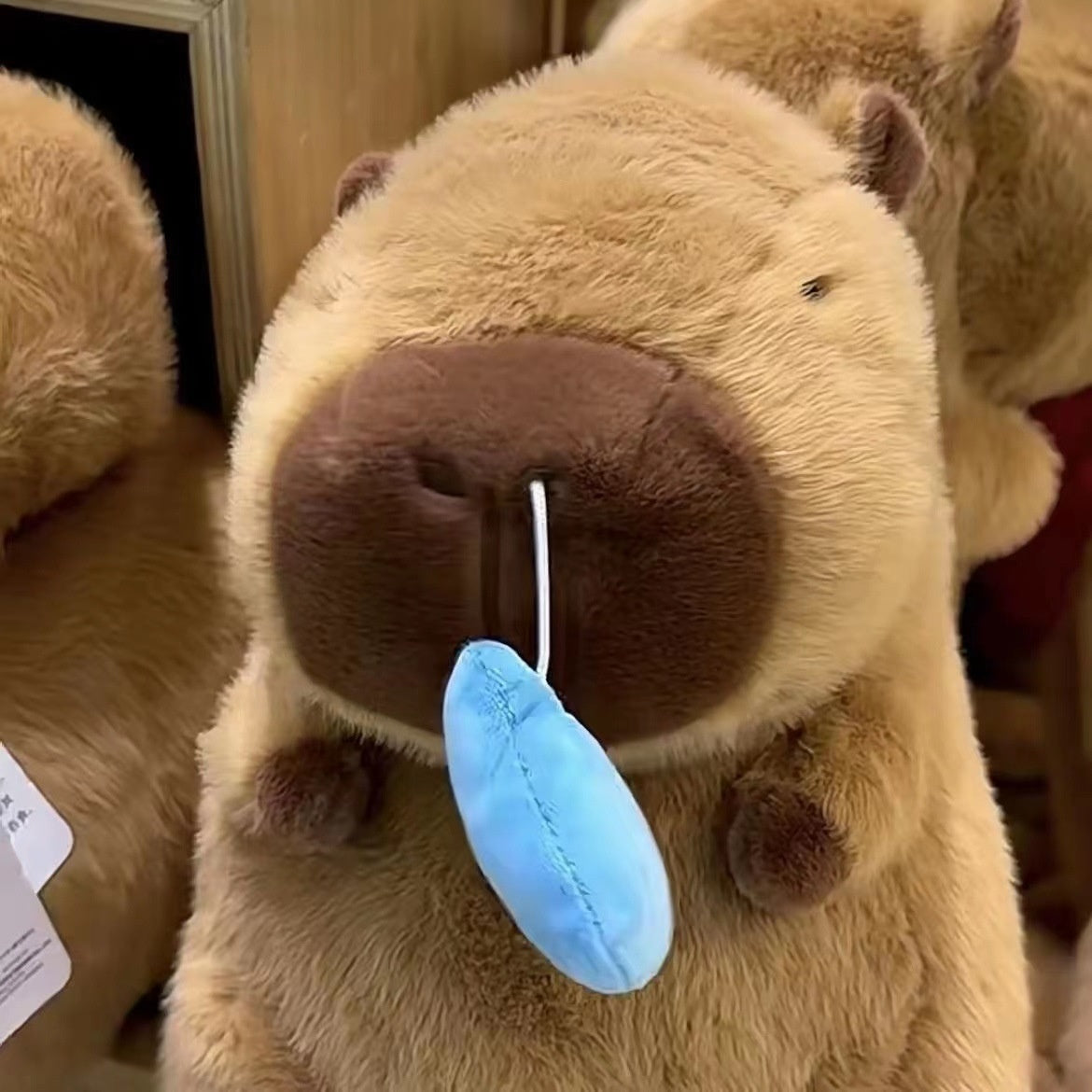 Capybara Snot Plushie